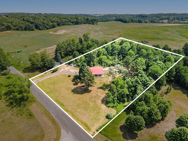 780 S 72nd Ave, Shelby, MI 49455 - view of rural area with property parcel outlined
