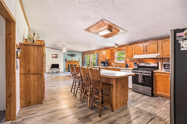 4890 W Birch Ln, Pentwater, MI 49449 - kitchen with appliances with stainless steel finishes, under cabinet range hood, light countertops, light wood-style flooring, and a textured ceiling