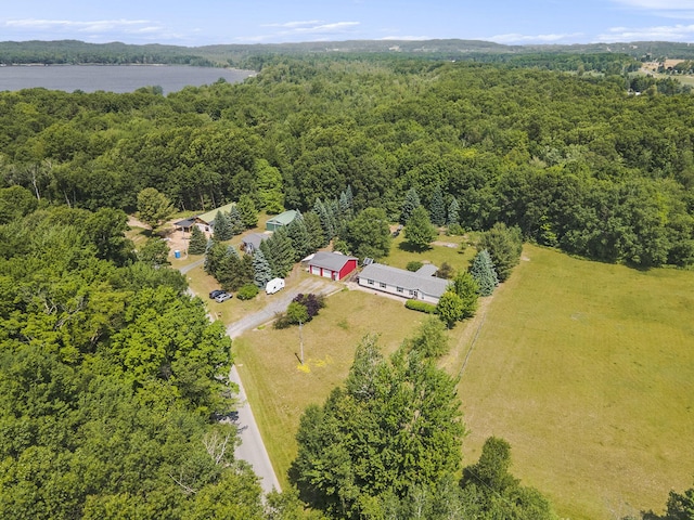 4890 W Birch Ln, Pentwater, MI 49449 - drone / aerial view of a heavily wooded area and a nearby body of water