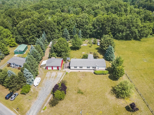 4890 W Birch Ln, Pentwater, MI 49449 - aerial view of property and surrounding area featuring a forest