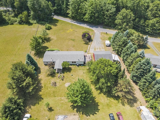 4890 W Birch Ln, Pentwater, MI 49449 - aerial view
