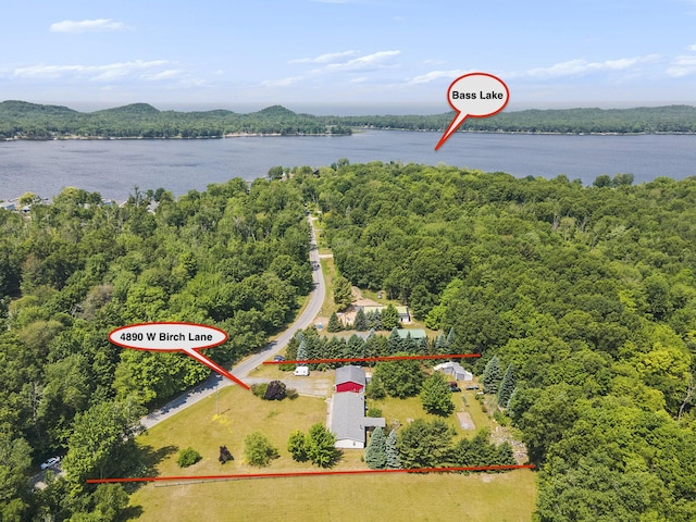 4890 W Birch Ln, Pentwater, MI 49449 - aerial overview of property's location featuring a nearby body of water and property parcel outlined