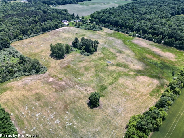 3193 W 112th St, Grant, MI 49327 - view of rural area with a forest