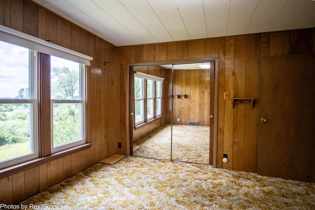 3193 W 112th St, Grant, MI 49327 - carpeted spare room with plenty of natural light and wooden walls