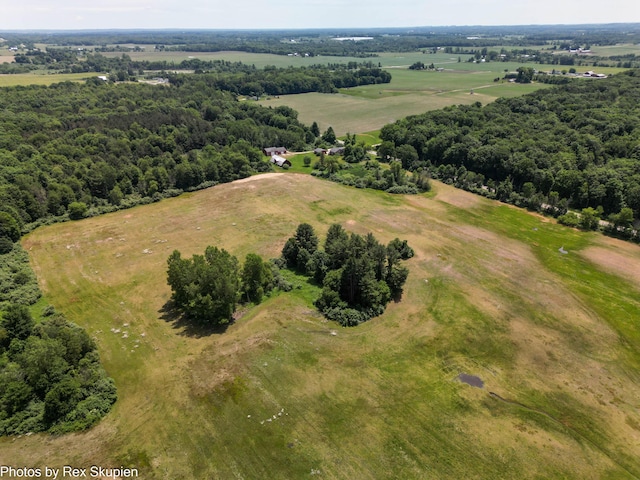 3193 W 112th St, Grant, MI 49327 - aerial view of sparsely populated area