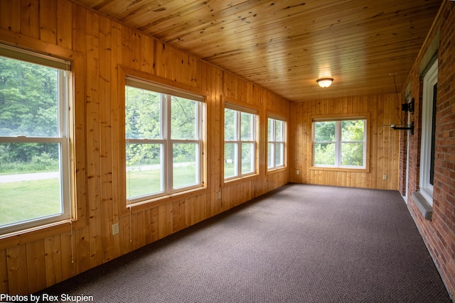 3193 W 112th St, Grant, MI 49327 - unfurnished sunroom with carpet flooring and wood walls