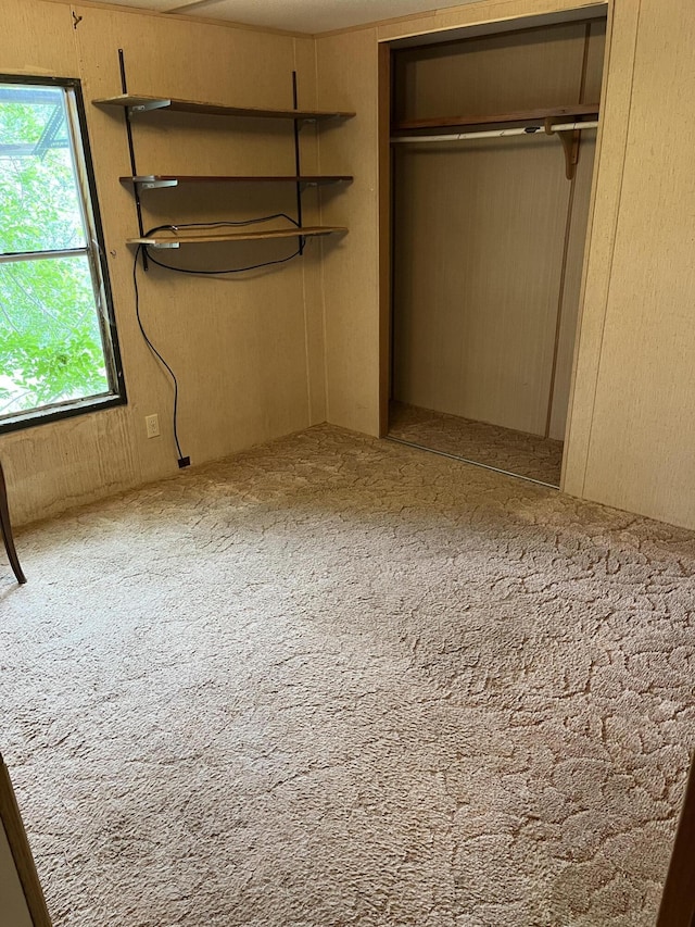 6121 N Pine Ave, White Cloud, MI 49349 - unfurnished bedroom featuring a closet and carpet flooring