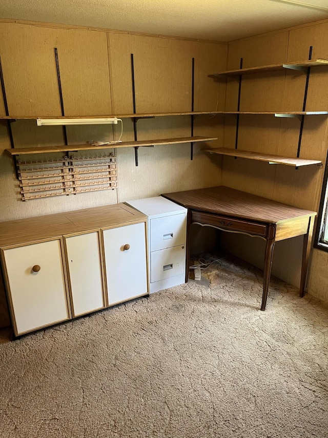 6121 N Pine Ave, White Cloud, MI 49349 - unfurnished office with light colored carpet