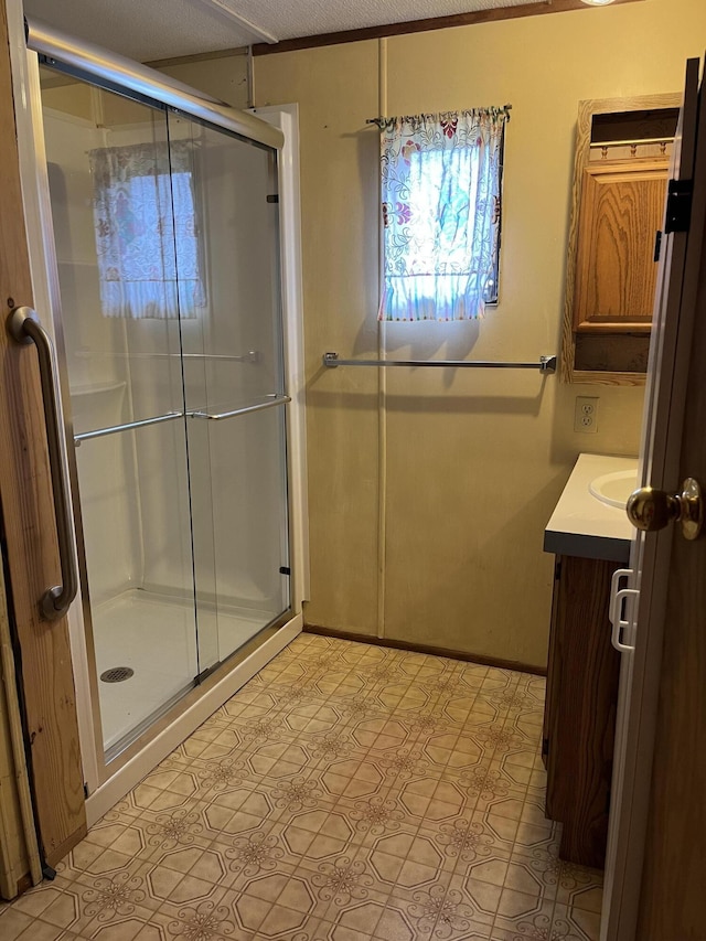 6121 N Pine Ave, White Cloud, MI 49349 - full bathroom with a stall shower, vanity, and tile patterned floors