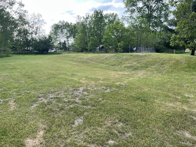 6121 N Pine Ave, White Cloud, MI 49349 - view of yard
