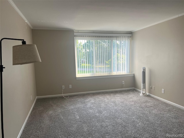 3901 Fort St Unit 202, Riverview, MI 48183 - carpeted spare room with crown molding and baseboards