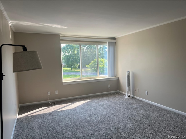 3901 Fort St Unit 202, Riverview, MI 48183 - carpeted spare room featuring crown molding and baseboards