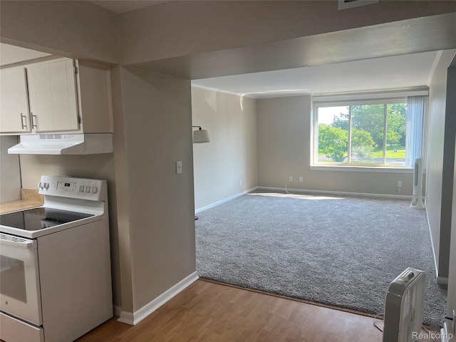 3901 Fort St Unit 202, Riverview, MI 48183 - kitchen featuring white electric stove, under cabinet range hood, white cabinets, carpet floors, and wood finished floors