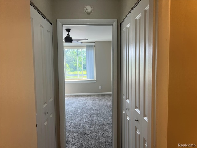 3901 Fort St Unit 202, Riverview, MI 48183 - corridor with carpet flooring and baseboards
