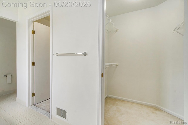 3244 Buckhorn Ct, Ann Arbor, MI 48105 - view of spacious closet