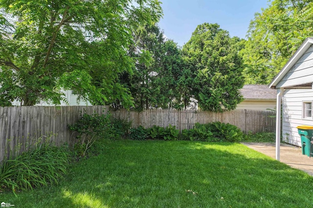 320 E Main St, Flushing, MI 48433 - view of yard