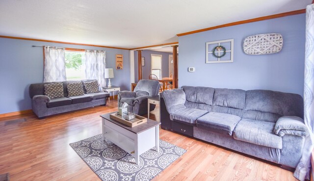 307 N Ray Quincy Rd, Quincy, MI 49082 - photo 12