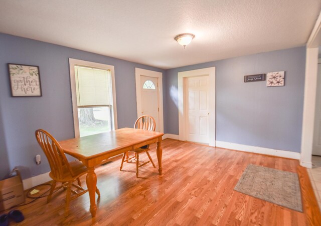307 N Ray Quincy Rd, Quincy, MI 49082 - photo 10
