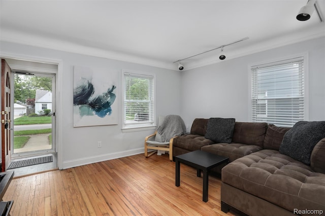 1605 N Vermont Ave, Rochester, MI 48067 - living room featuring track lighting, plenty of natural light, and light wood-style flooring