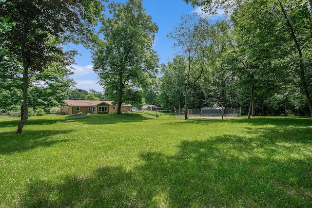 10158 US Highway 31, Berrien Springs, MI 49103 - view of yard