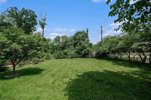 10158 US Highway 31, Berrien Springs, MI 49103 - view of grassy yard