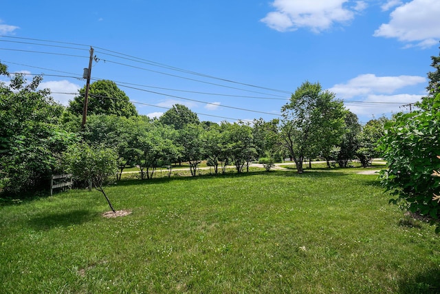 10158 US Highway 31, Berrien Springs, MI 49103 - view of grassy yard