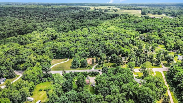 10158 US Highway 31, Berrien Springs, MI 49103 - bird's eye view of a forest