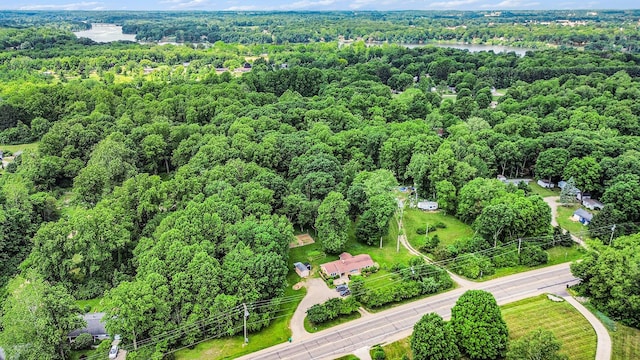 10158 US Highway 31, Berrien Springs, MI 49103 - aerial view of a forest