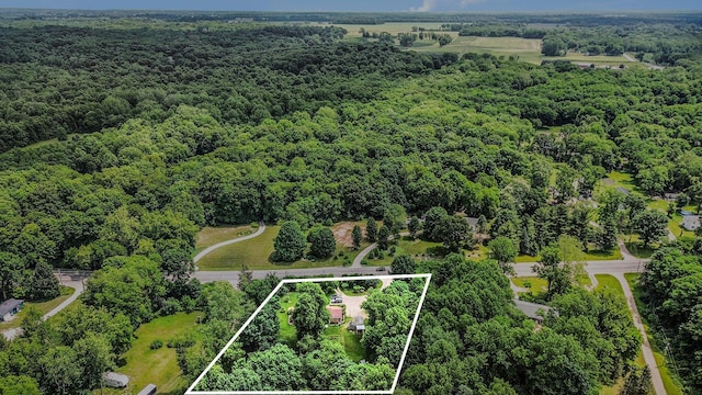 10158 US Highway 31, Berrien Springs, MI 49103 - aerial overview of property's location featuring property boundaries highlighted and a forest