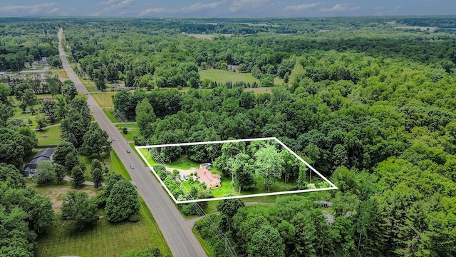 10158 US Highway 31, Berrien Springs, MI 49103 - aerial overview of property's location featuring a forest and property parcel outlined