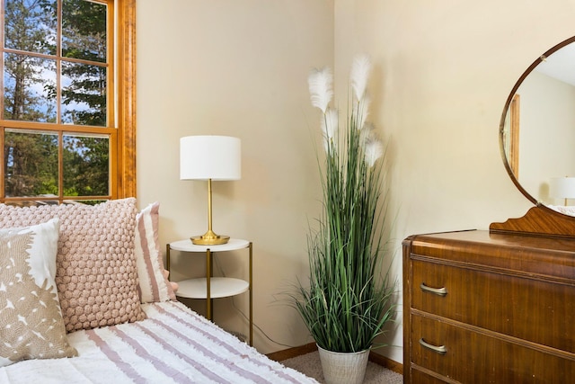 1724 N Ridge Rd, Mears, MI 49436 - bedroom featuring baseboards and carpet floors