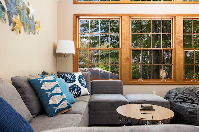 1724 N Ridge Rd, Mears, MI 49436 - view of living area