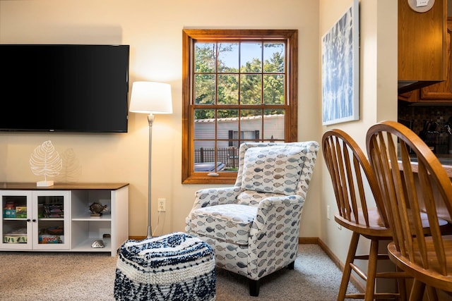 1724 N Ridge Rd, Mears, MI 49436 - sitting room featuring carpet flooring and baseboards