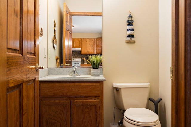1724 N Ridge Rd, Mears, MI 49436 - half bathroom with vanity and backsplash