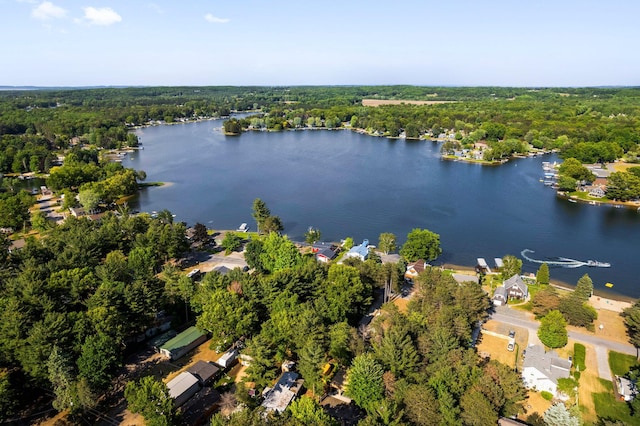1724 N Ridge Rd, Mears, MI 49436 - drone / aerial view of a heavily wooded area and a large body of water
