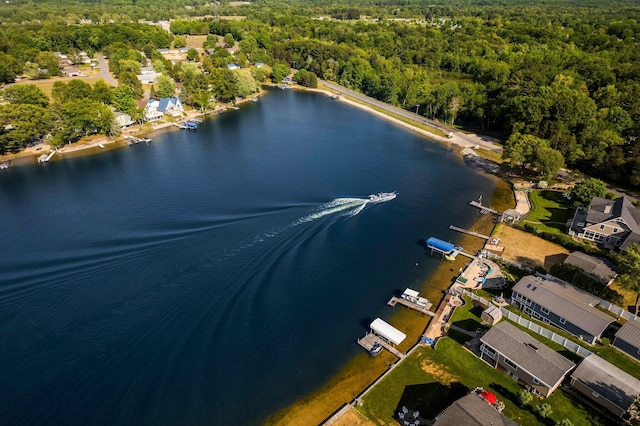 1724 N Ridge Rd, Mears, MI 49436 - drone / aerial view of a forest and a nearby body of water