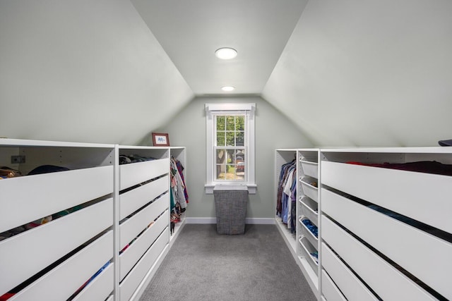 2511 Belfast Ave SE, Grand Rapids, MI 49507 - spacious closet featuring light colored carpet and lofted ceiling