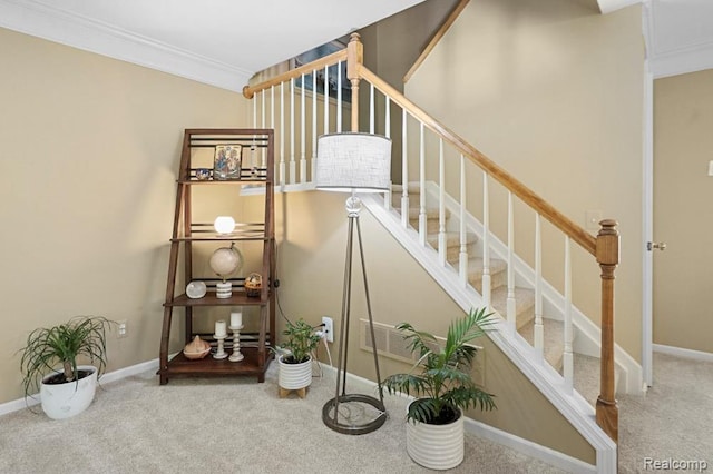 16658 Country Knoll Dr E Unit 47, Northville, MI 48168 - photo 5