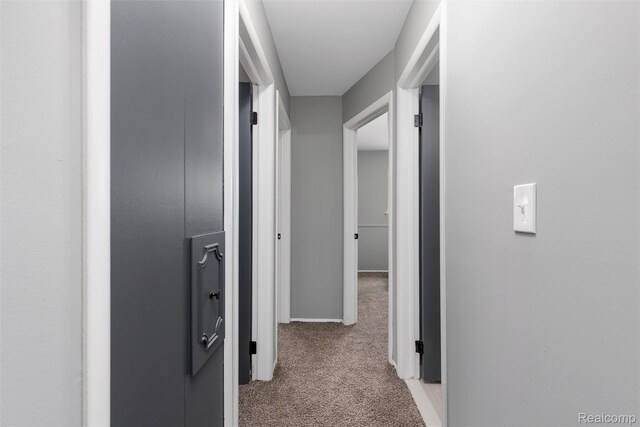 14671 Labelle St, Oak Park, MI 48237 - corridor with light colored carpet and baseboards
