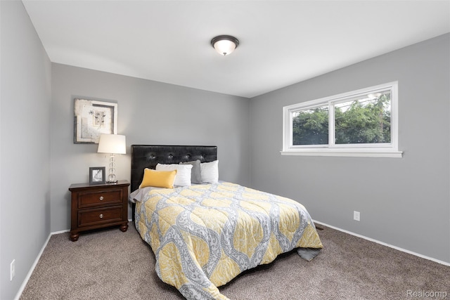 14671 Labelle St, Oak Park, MI 48237 - bedroom with carpet floors and baseboards