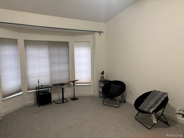 44700 Heather Ln, Canton, MI 48187 - misc room featuring carpet and baseboards