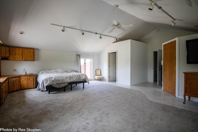 4295 S Gordon Ave, Fremont, MI 49412 - bedroom with track lighting, lofted ceiling, and light colored carpet