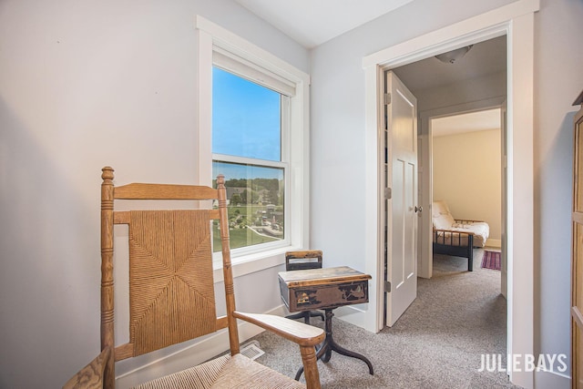 12828 Bayou Ct, Wayland, MI 49348 - corridor with carpet floors and plenty of natural light