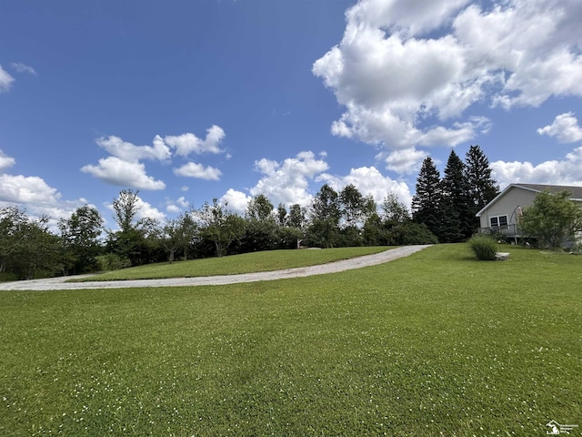 1645 N M-65 Rd, Curran, MI 48728 - view of green lawn