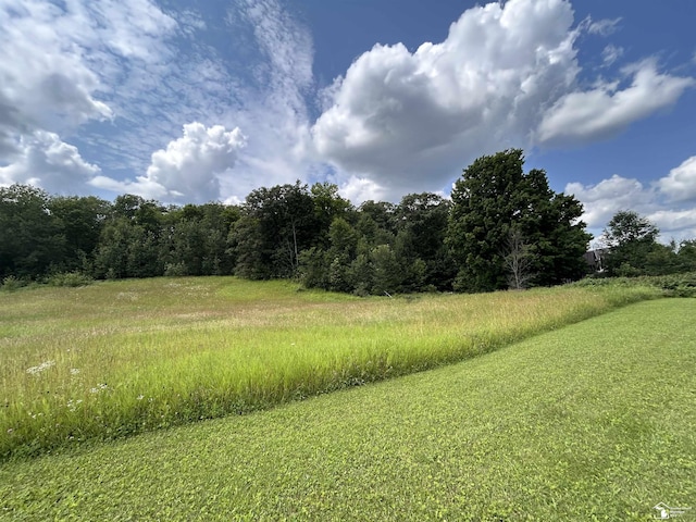 1645 N M-65 Rd, Curran, MI 48728 - view of yard with a forest view