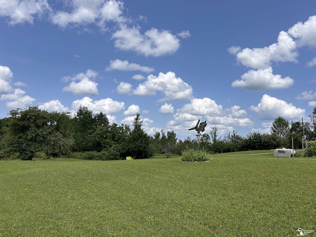 1645 N M-65 Rd, Curran, MI 48728 - view of grassy yard