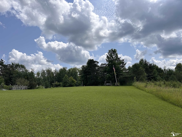 1645 N M-65 Rd, Curran, MI 48728 - view of yard with an area for soccer