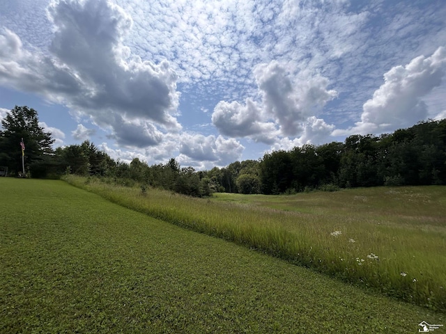 1645 N M-65 Rd, Curran, MI 48728 - view of yard