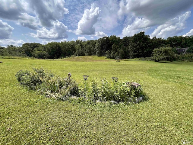 1645 N M-65 Rd, Curran, MI 48728 - view of grassy yard
