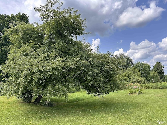 1645 N M-65 Rd, Curran, MI 48728 - view of grassy yard